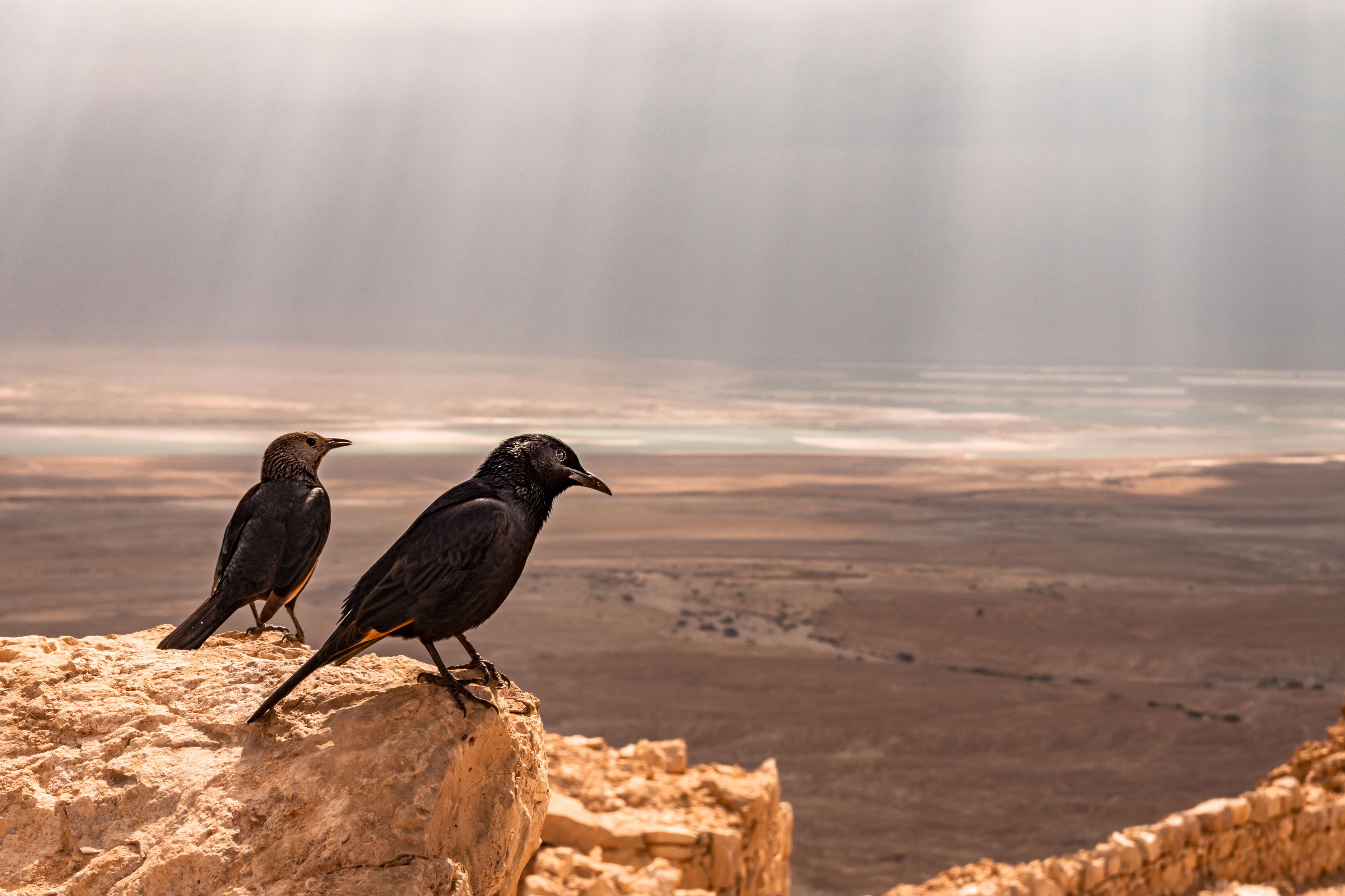 Masada